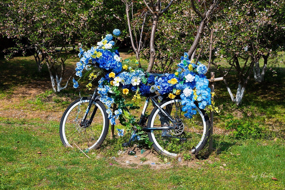 苏州植物园掠影（5）---完