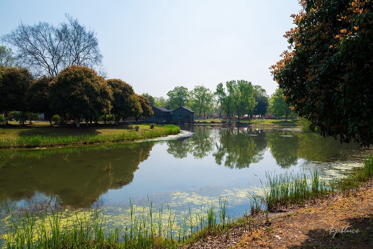 苏州植物园掠影（5）---完
