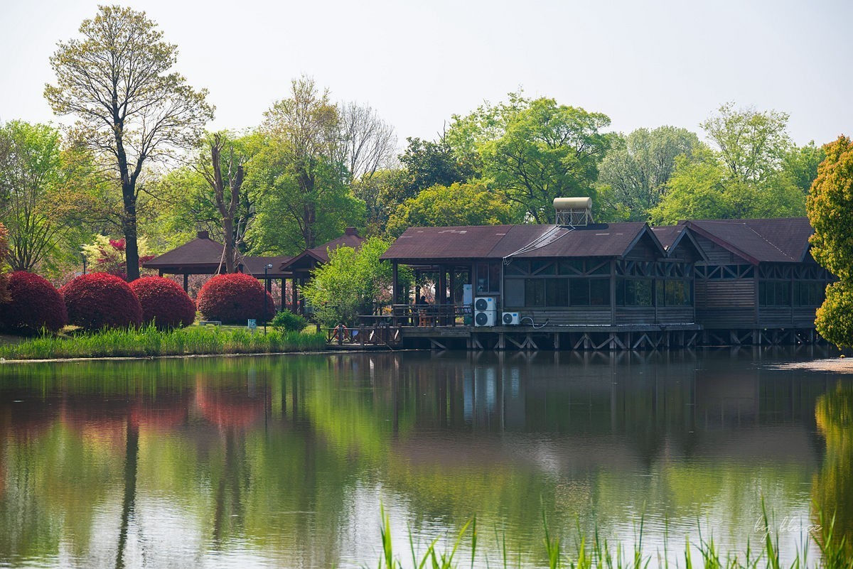苏州植物园掠影（5）---完