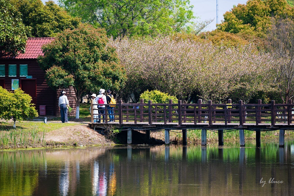 苏州植物园掠影（5）---完