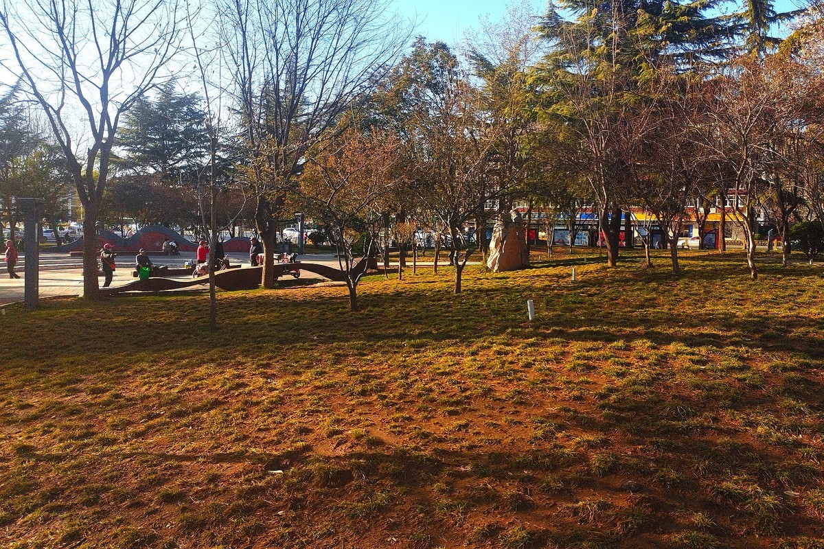 初春·街心公园