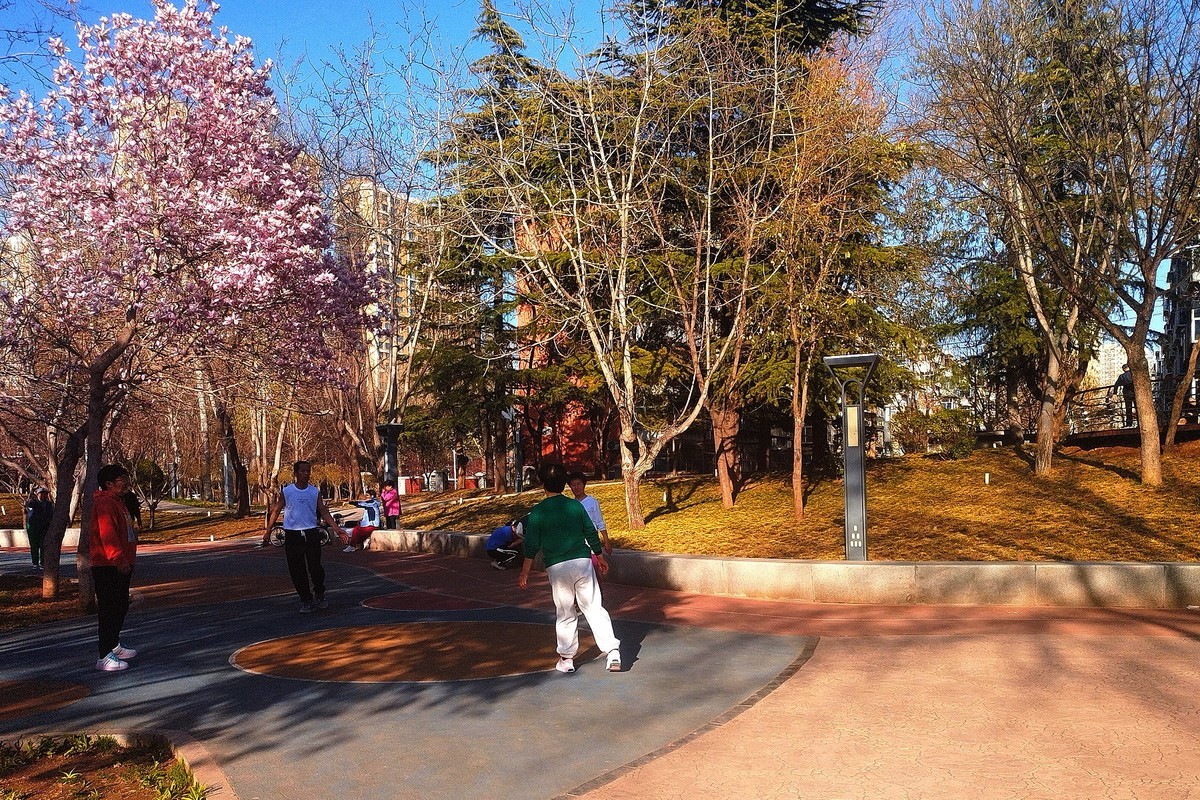 初春·街心公园