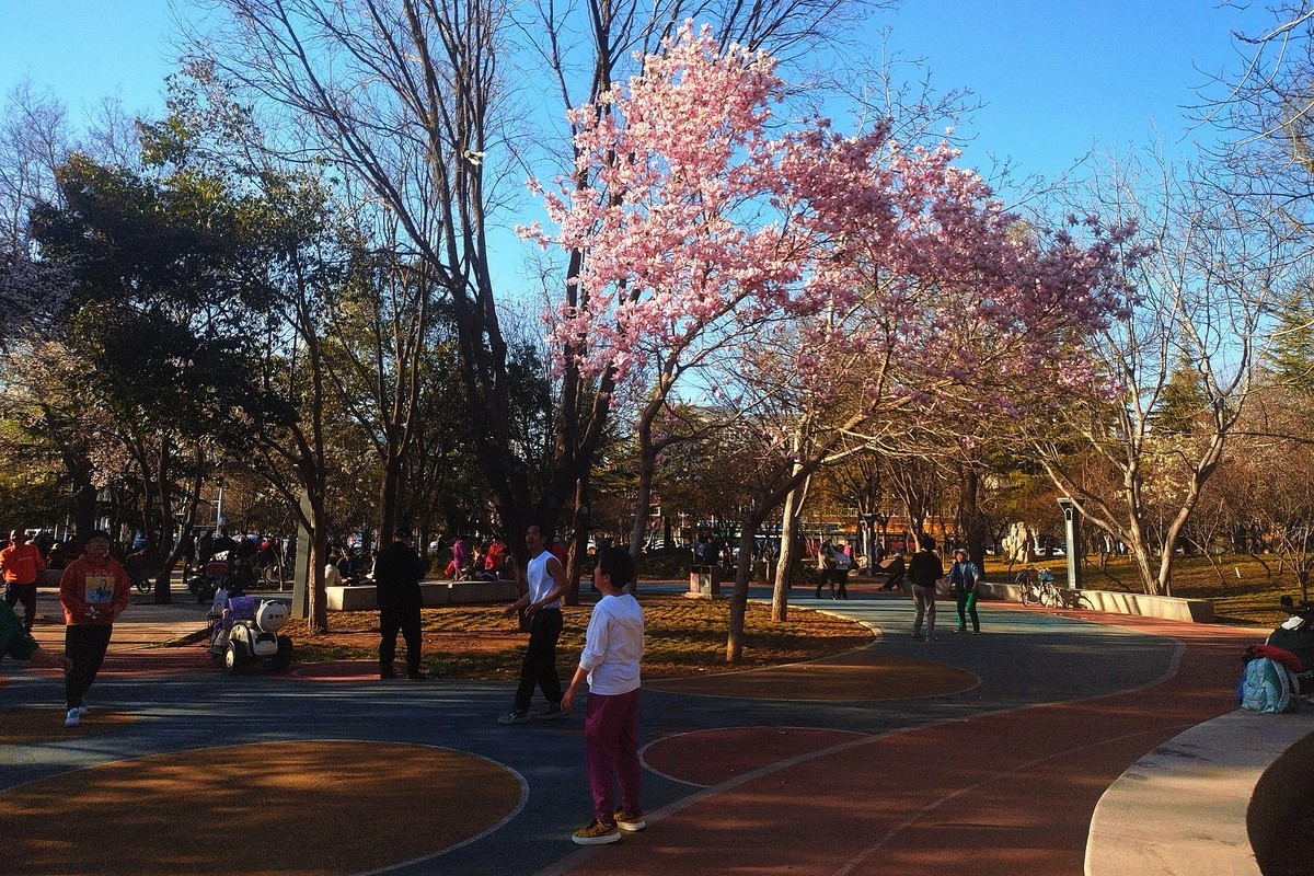 初春·街心公园