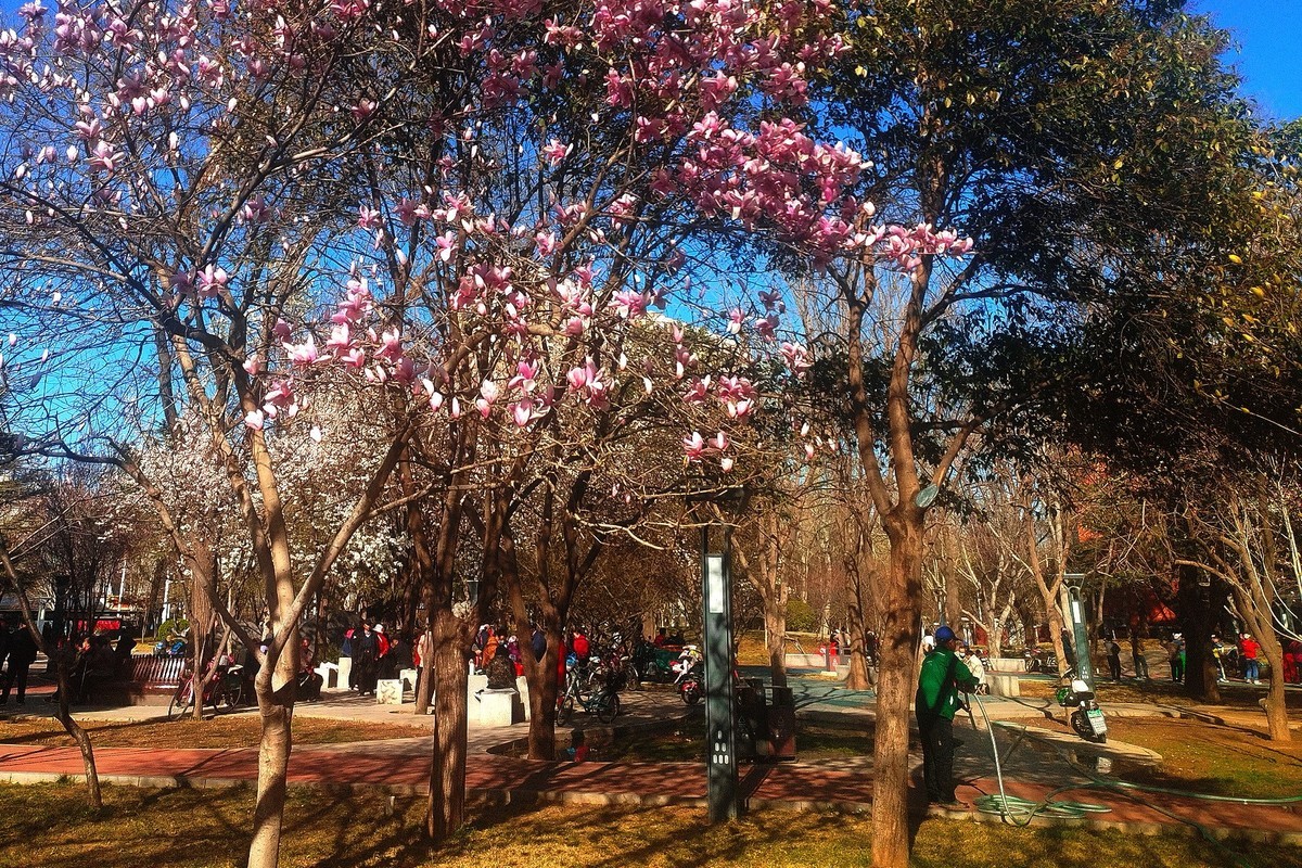 初春·街心公园