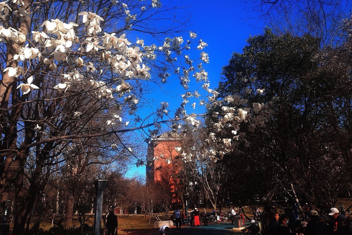 初春·街心公园