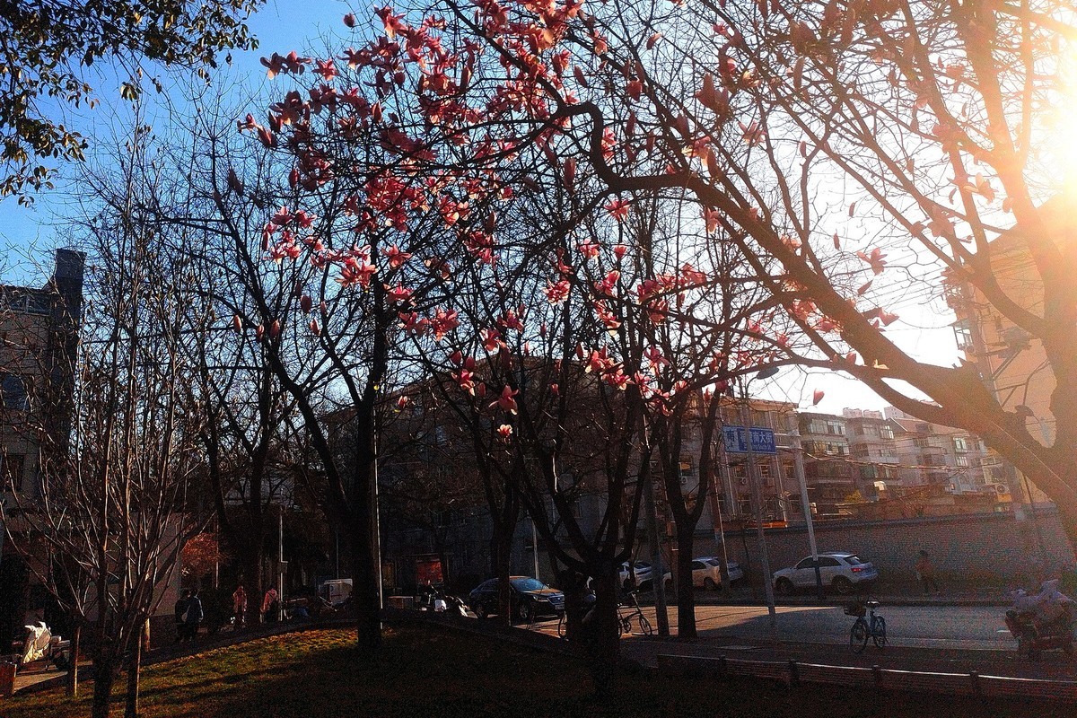 初春·街心公园