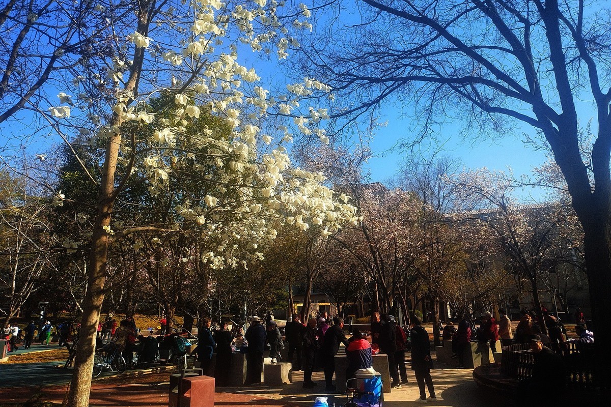 初春·街心公园