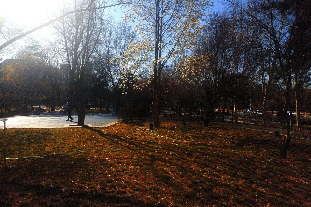 初春·街心公园