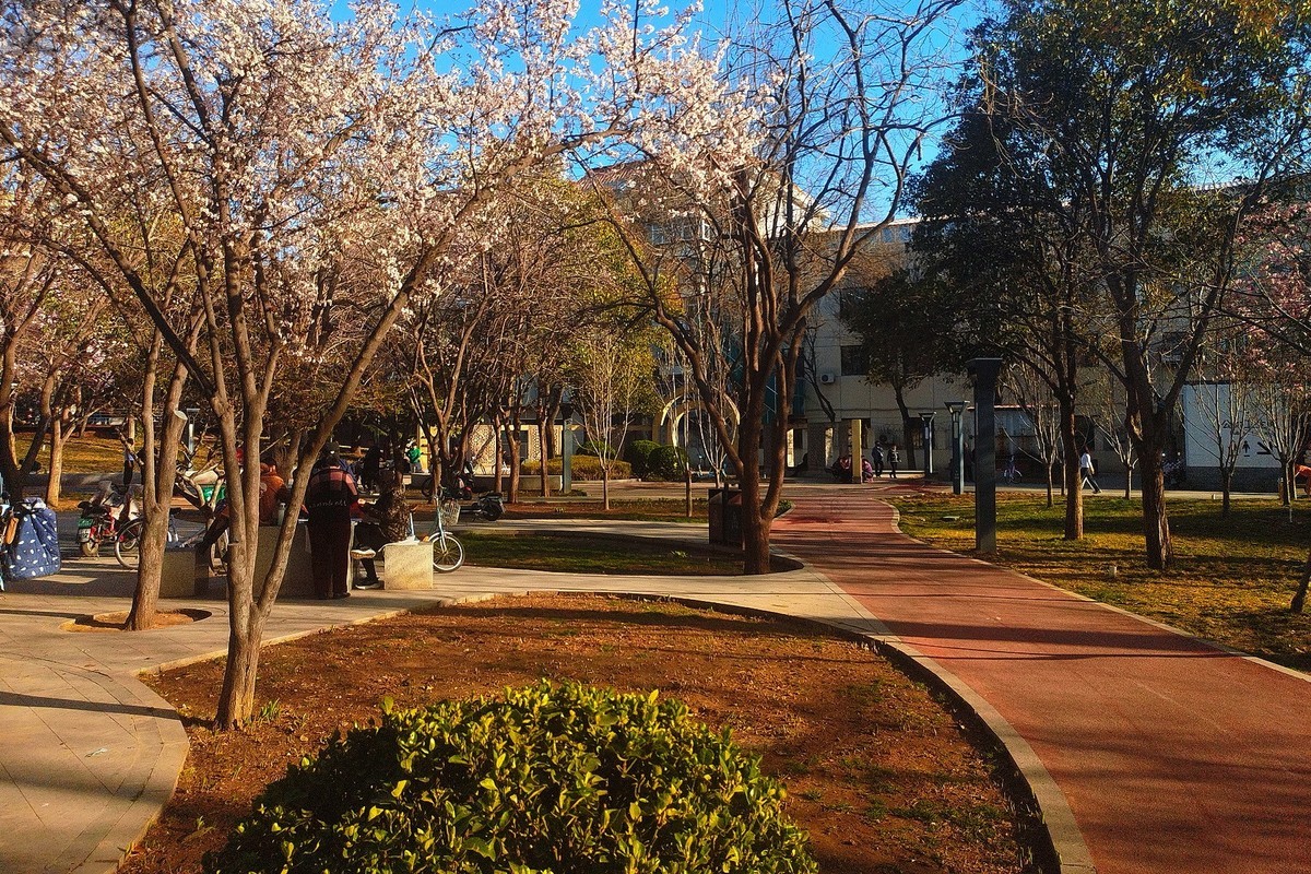 初春·街心公园