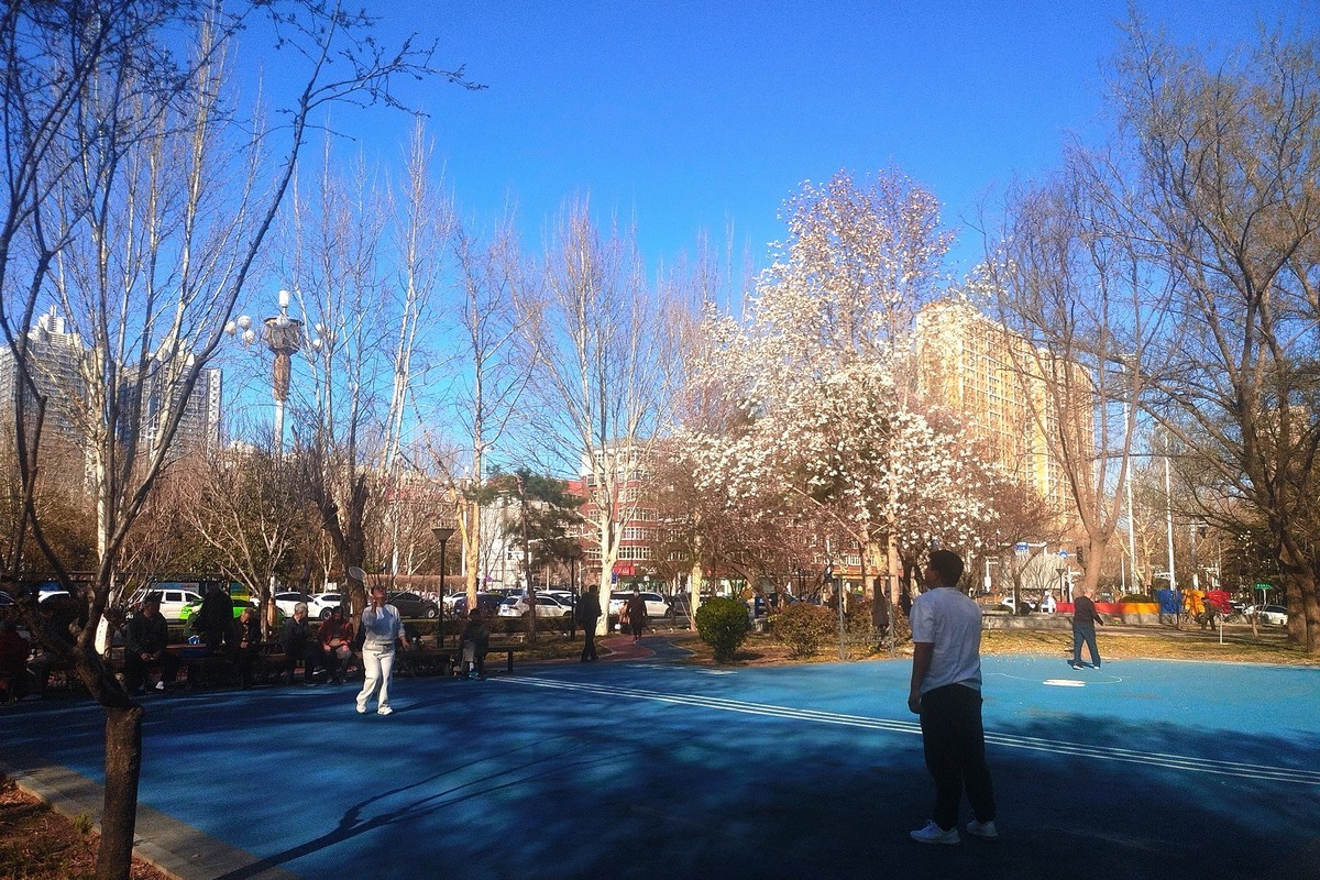 初春·街心公园