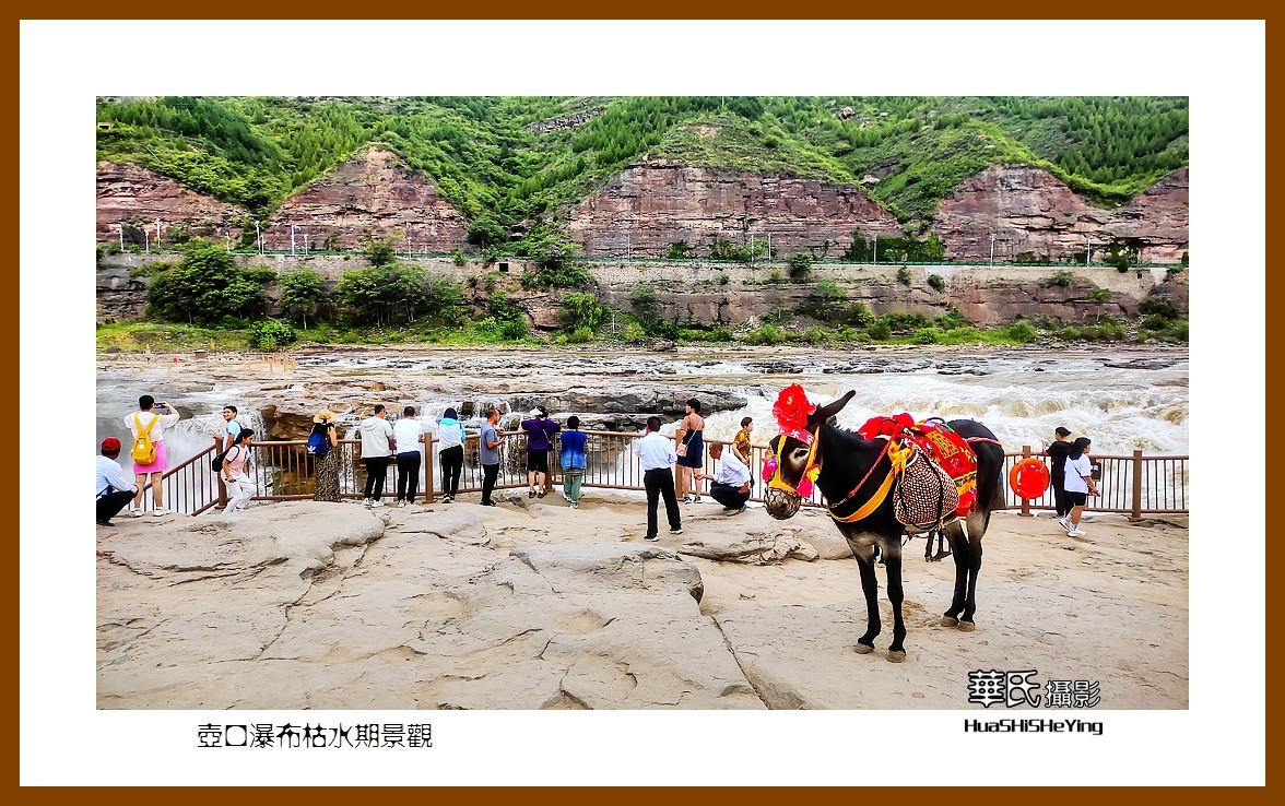 2023暑假行（山西028）—壶口瀑布枯水期景观（临汾）