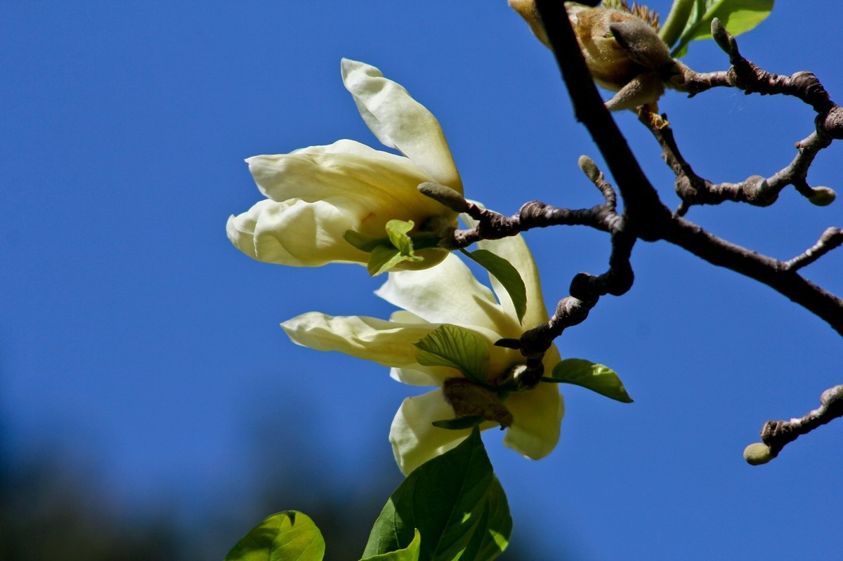 春天里——公园杂拍
