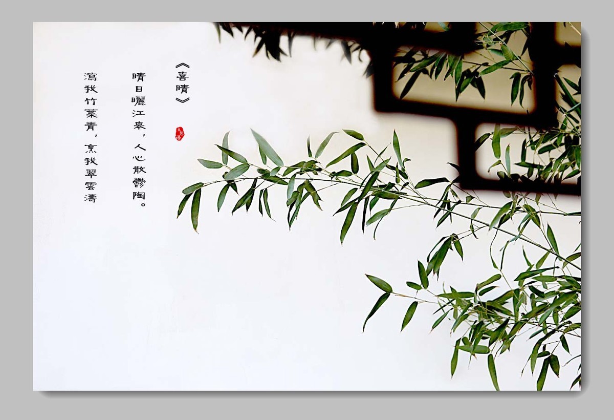 《每日欣赏》！！！