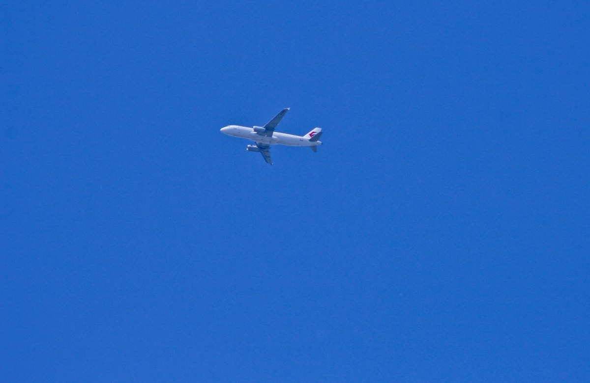 春天里——公园杂拍