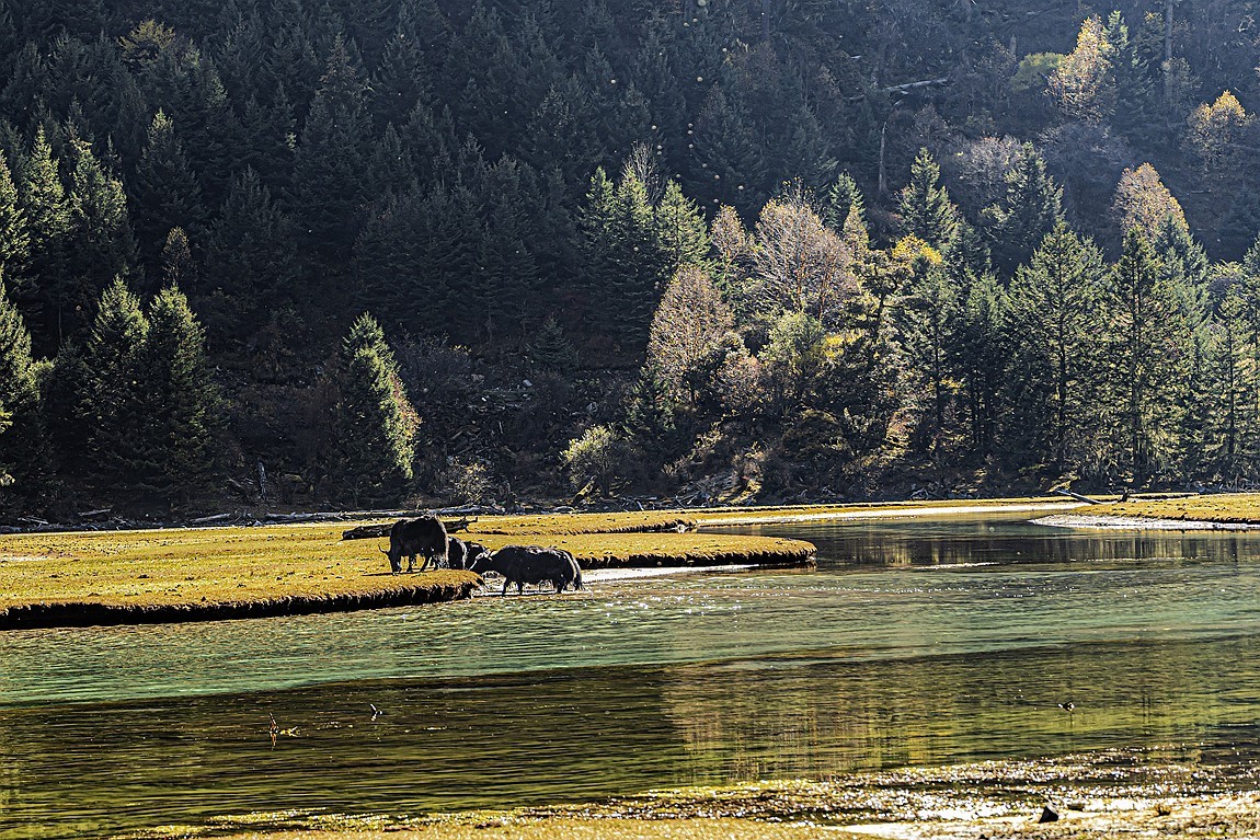 行走在318国道--初探月亮湖【8】