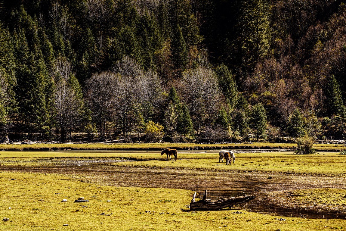 行走在318国道--初探月亮湖【8】