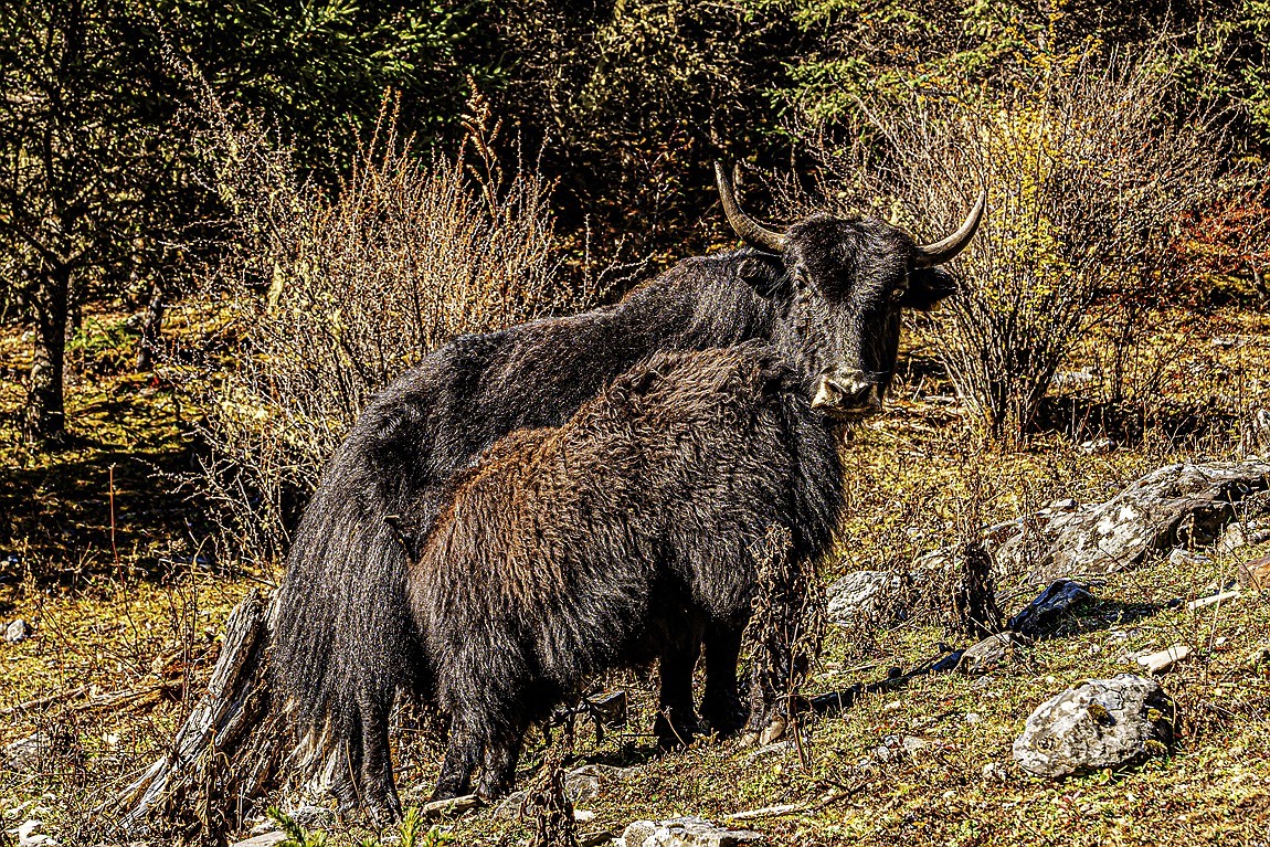 行走在318国道--初探月亮湖【8】