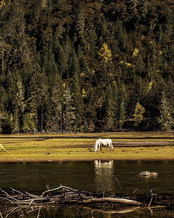 行走在318国道--初探月亮湖【8】