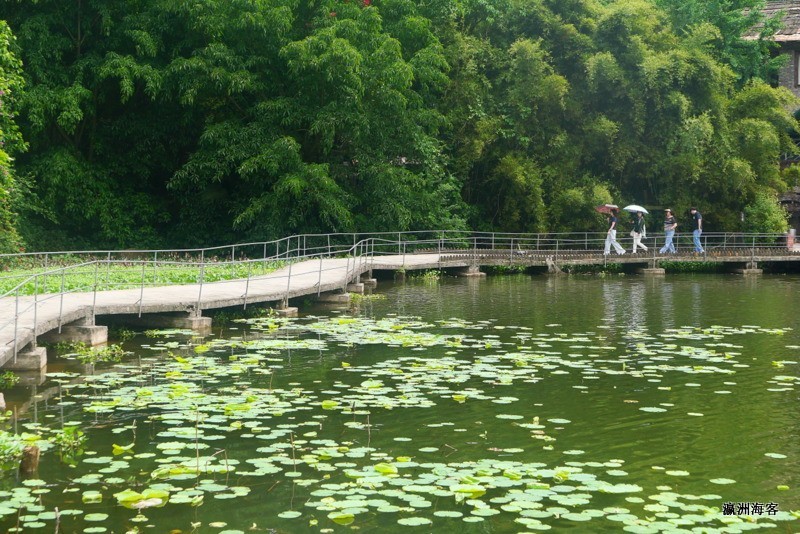 风景随拍