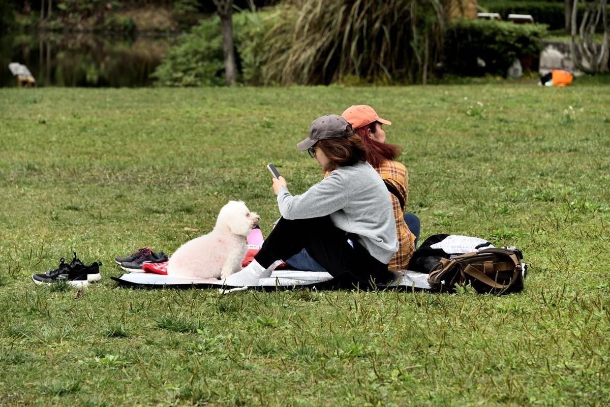 斑竹林景区掠影【续完】