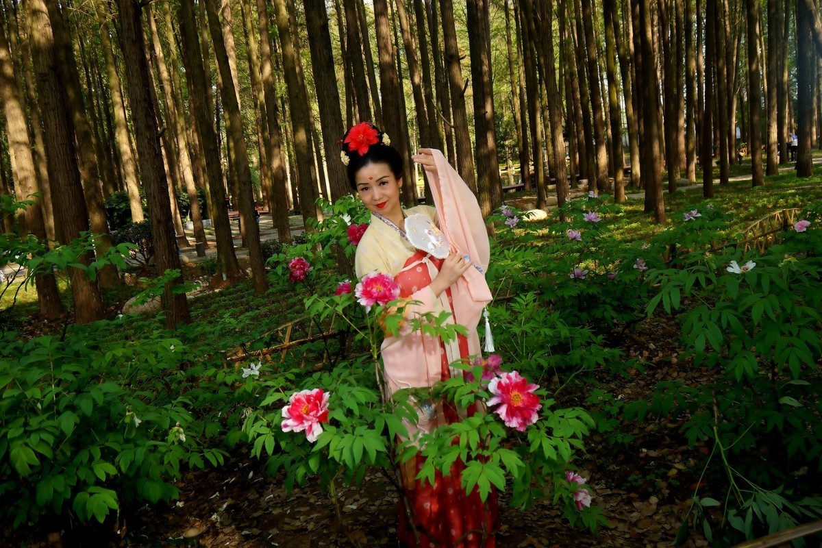 牡丹园的古装美女！