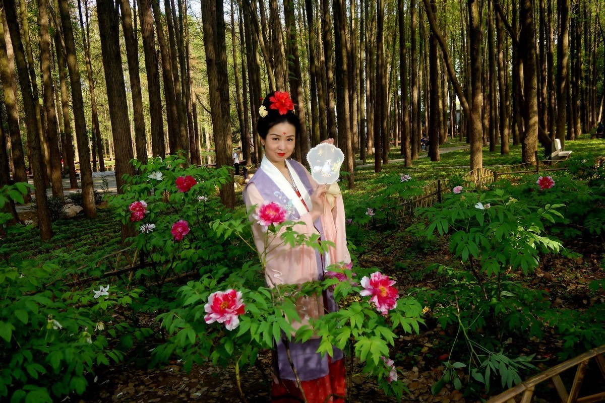 牡丹园的古装美女！