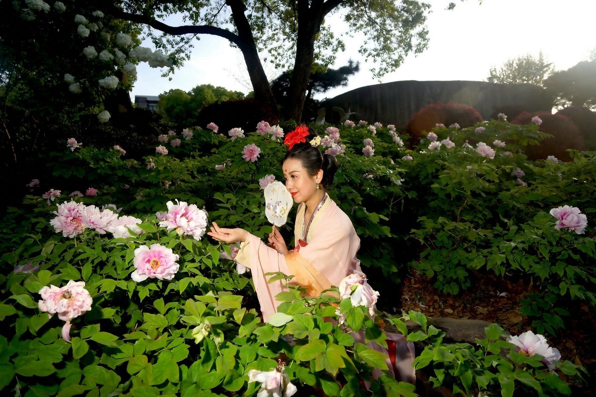 牡丹园的古装美女！