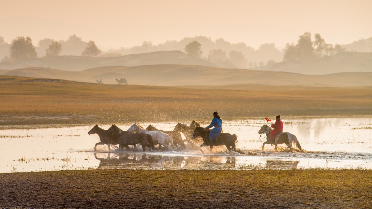 秋天的克什克腾旗------马踏水花