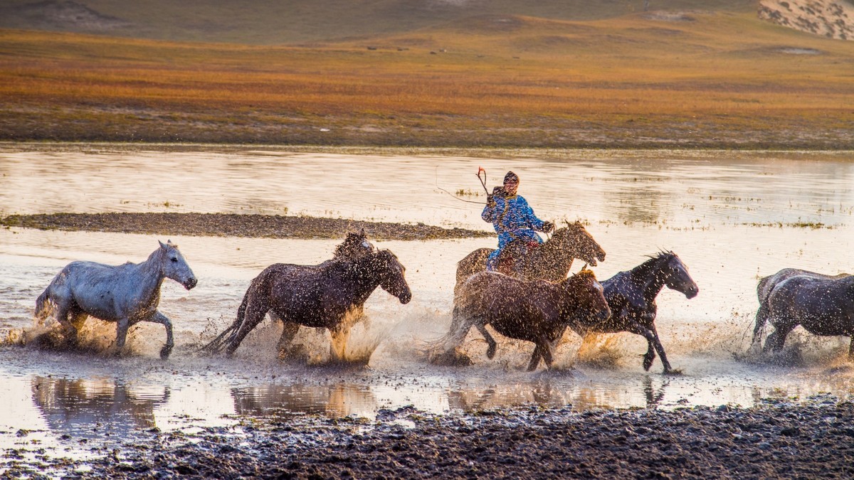 秋天的克什克腾旗------马踏水花