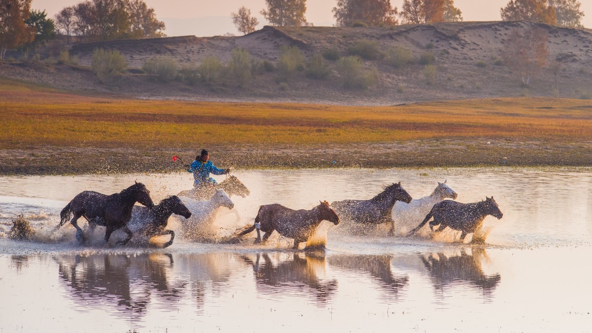 秋天的克什克腾旗------马踏水花