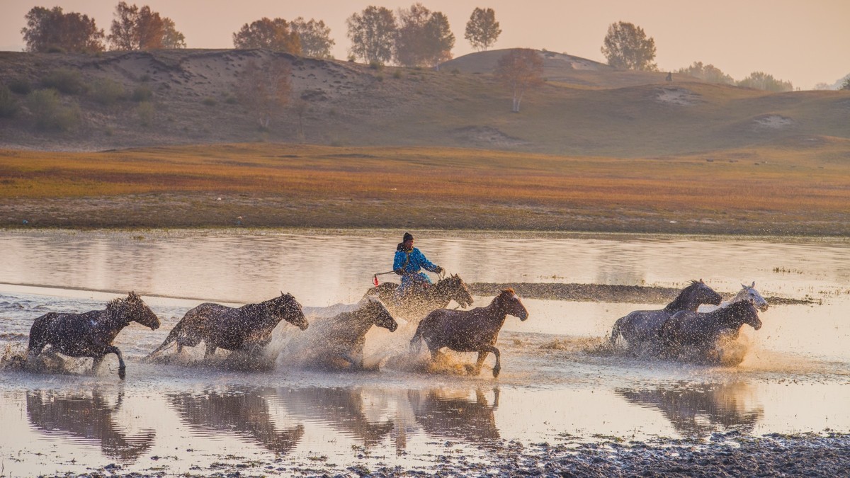 秋天的克什克腾旗------马踏水花