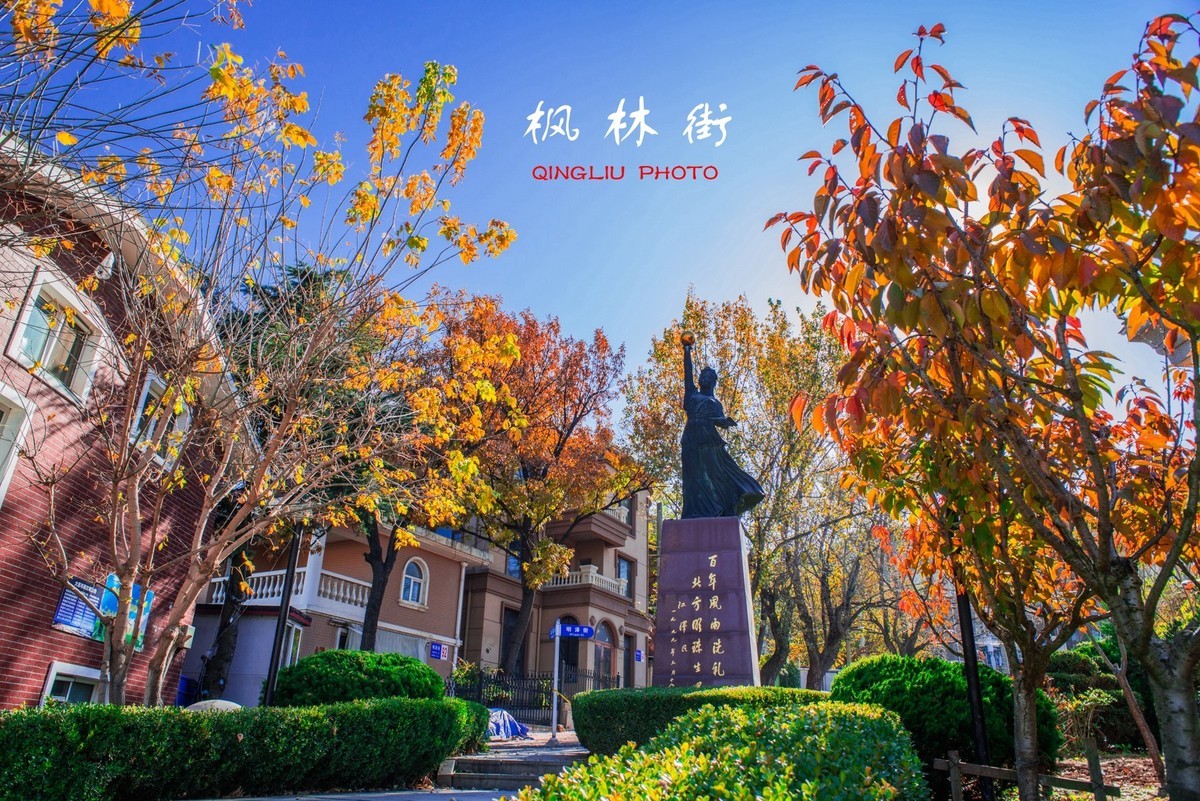 秋染枫林街（二）