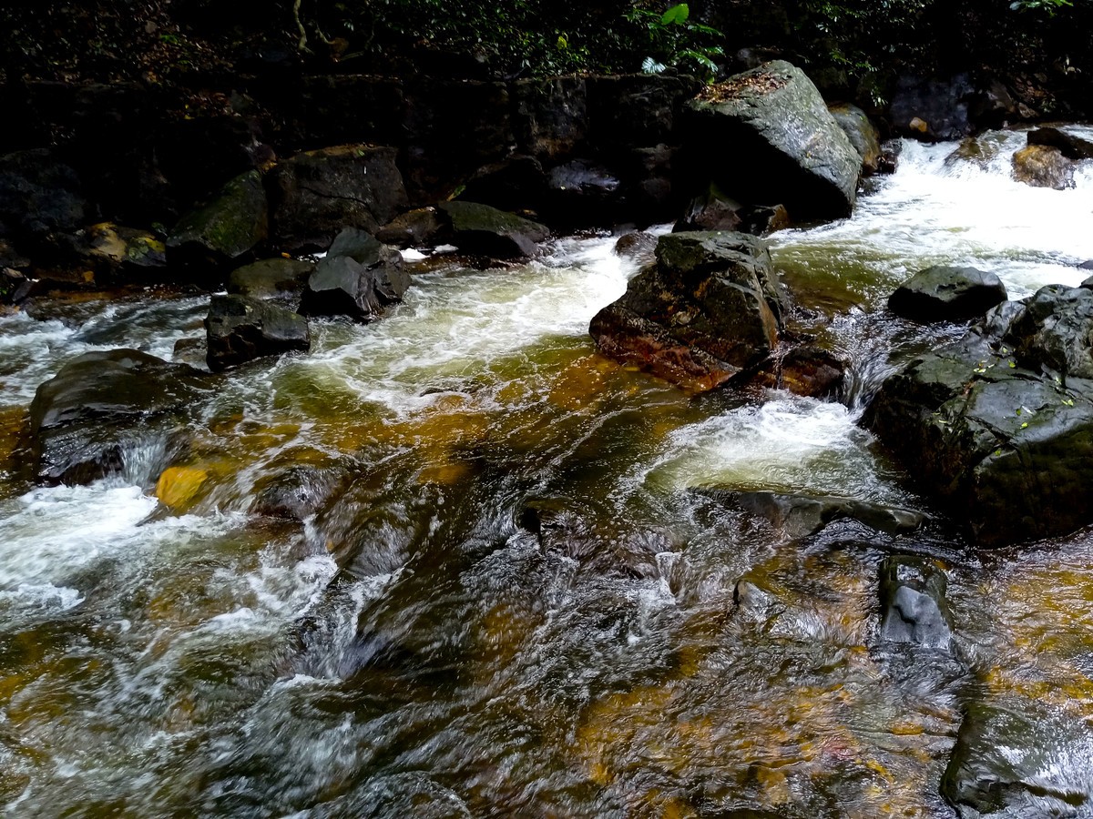 小溪流水哗啦啦（手机随拍 ）