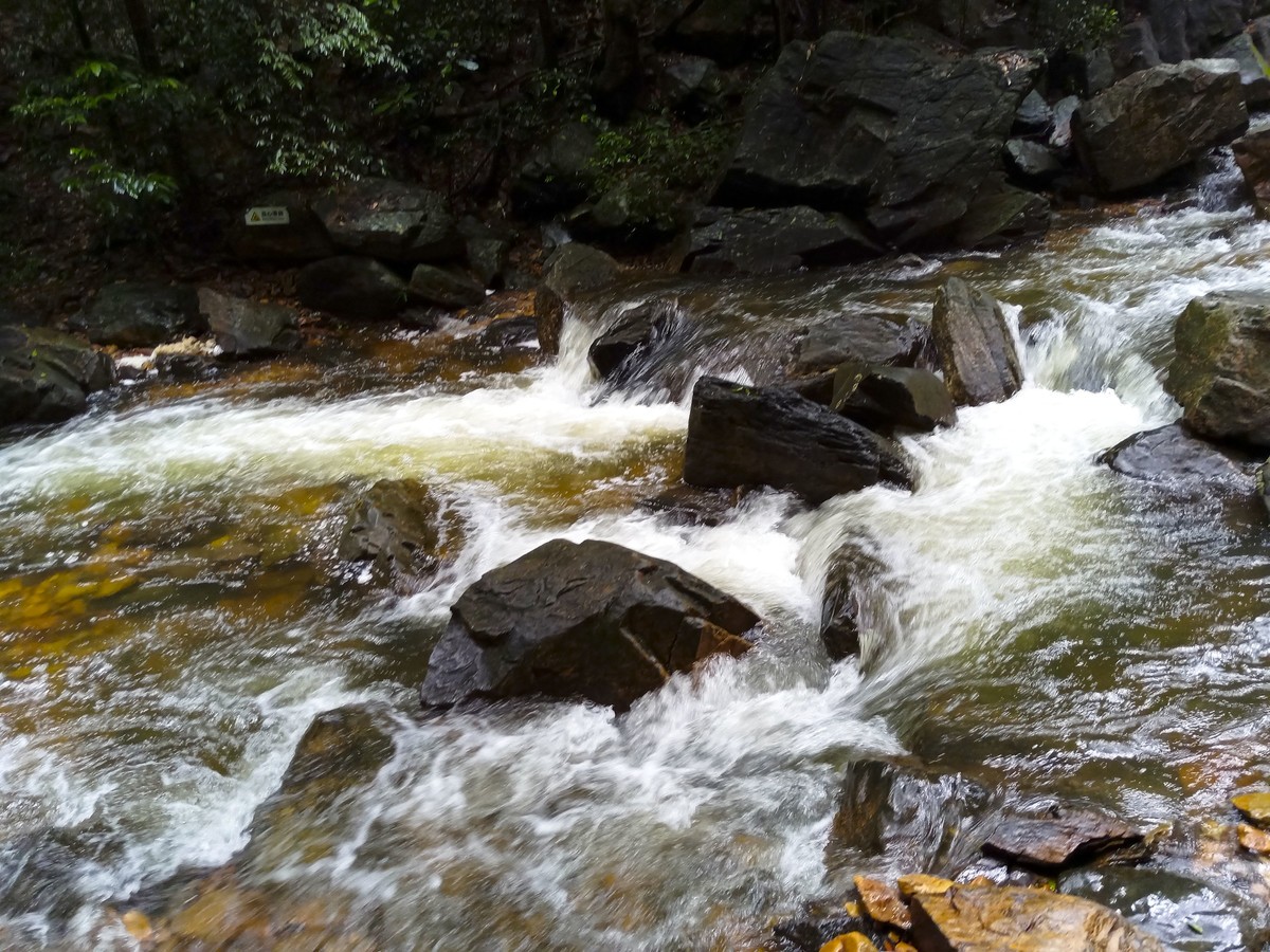 小溪流水哗啦啦（手机随拍 ）