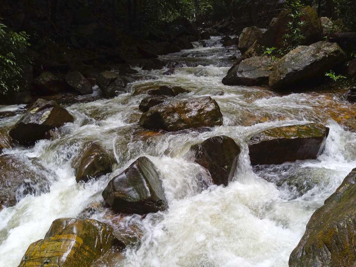 小溪流水哗啦啦（手机随拍 ）