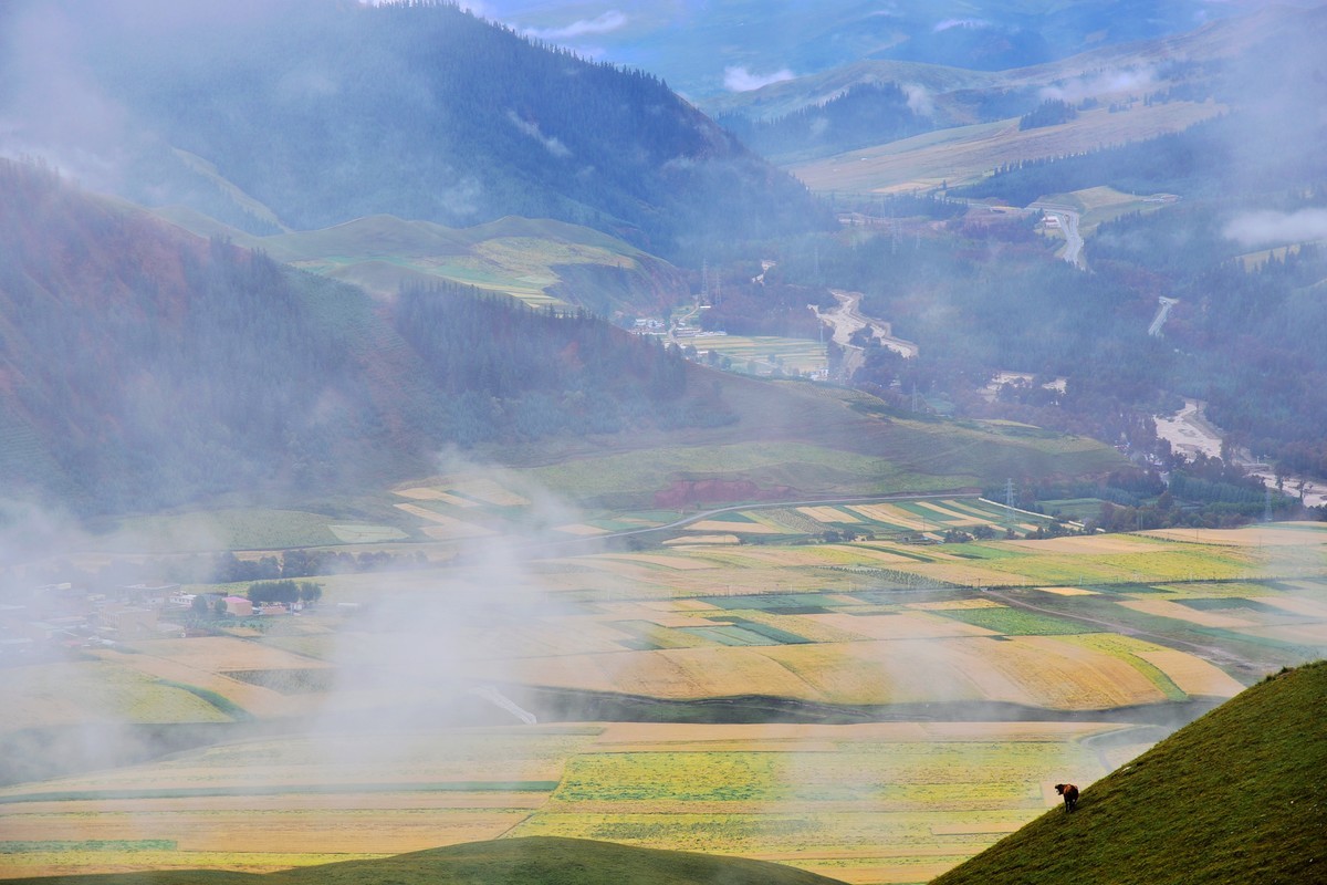 卓尔山风光（5）