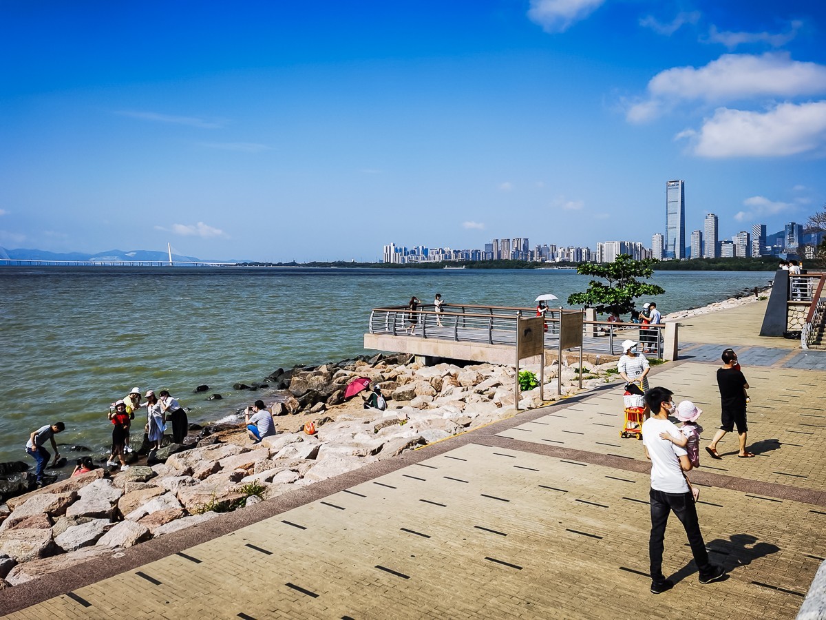 深圳湾公园=深圳湾公园灯光秀时间