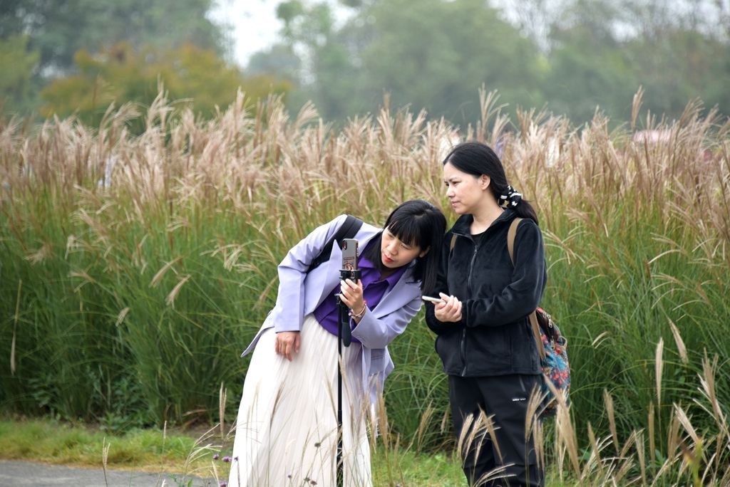 秋园漫步自悠闲