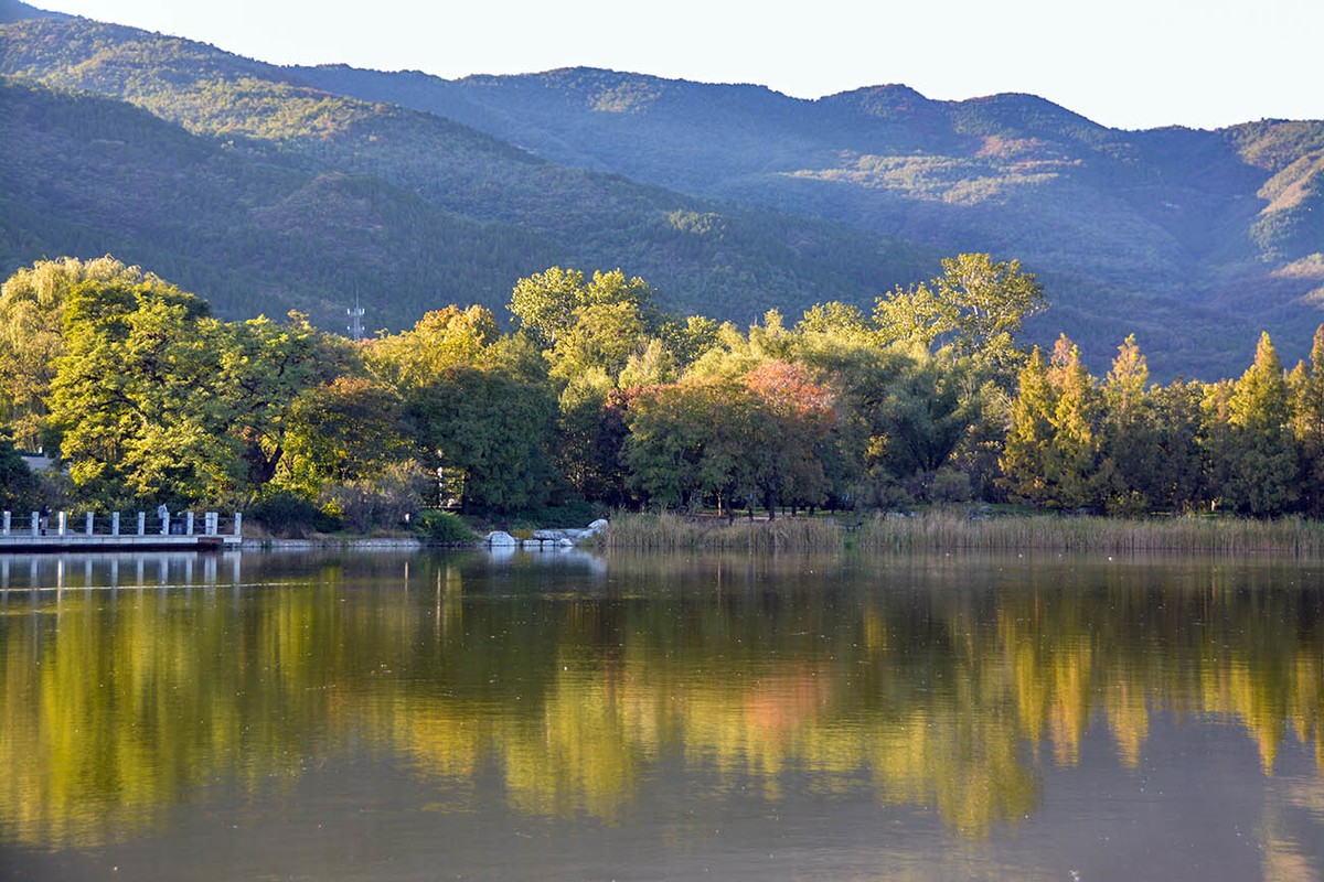 #留住美丽秋天# 植物园秋色