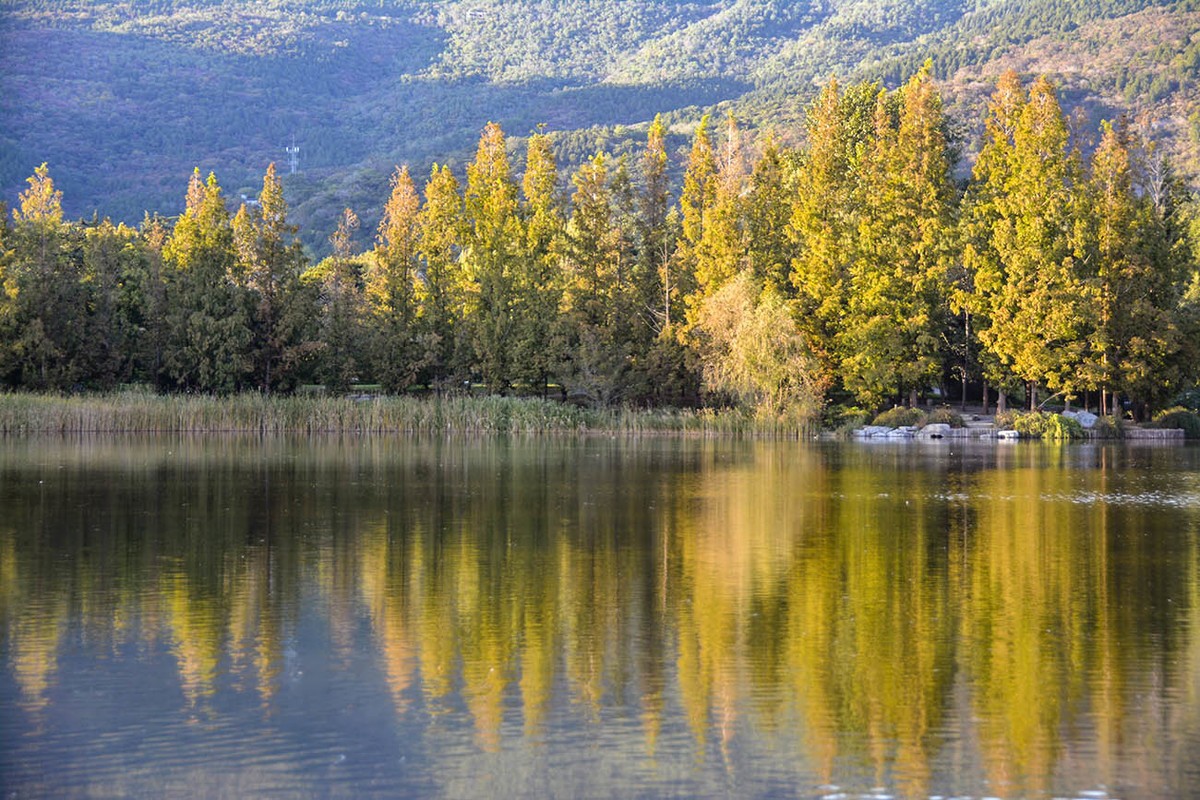 #留住美丽秋天# 植物园秋色