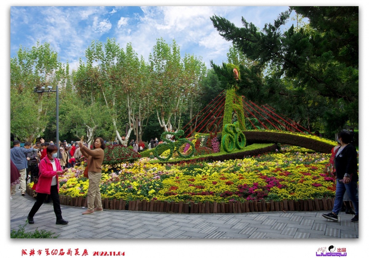 2022年成都菊展随拍（续）