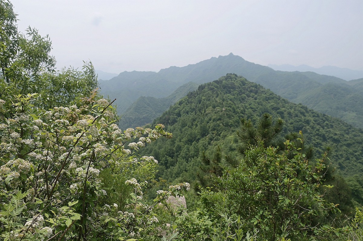 秦岭小五台风光（尼康Z7II微单与单反半画幅镜头相接的出片效果）