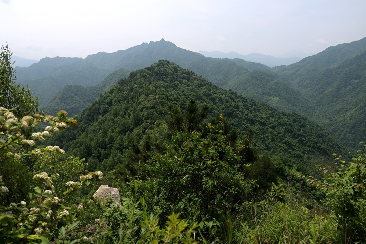 秦岭小五台风光（尼康Z7II微单与单反半画幅镜头相接的出片效果）