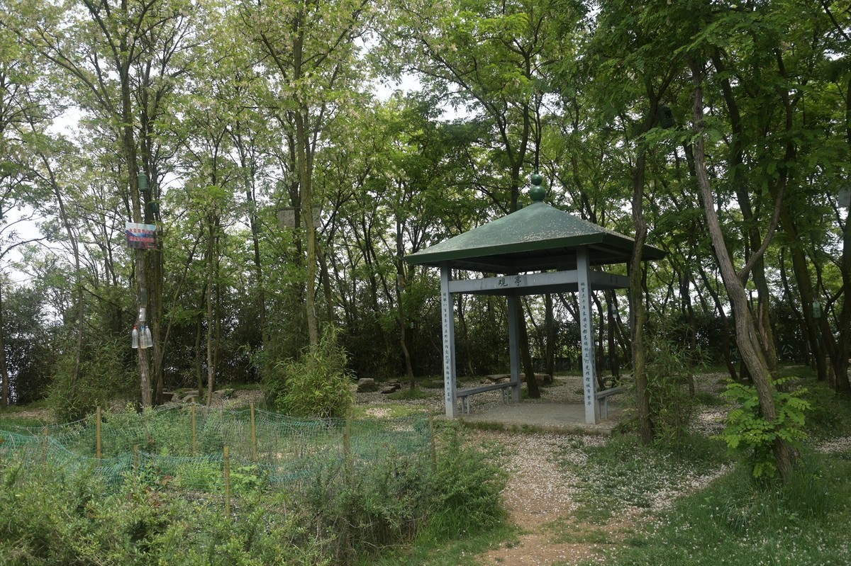 秦岭小五台风光（尼康Z7II微单与单反半画幅镜头相接的出片效果）