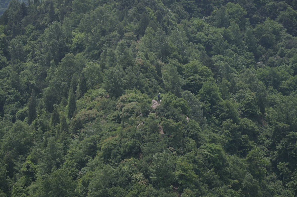 秦岭小五台风光（尼康Z7II微单与单反半画幅镜头相接的出片效果）