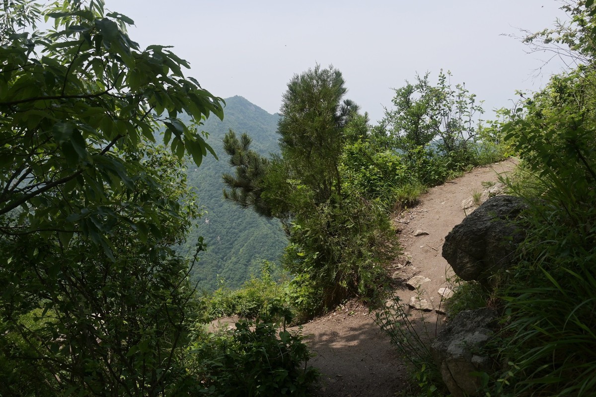 秦岭小五台风光（尼康Z7II微单与单反半画幅镜头相接的出片效果）