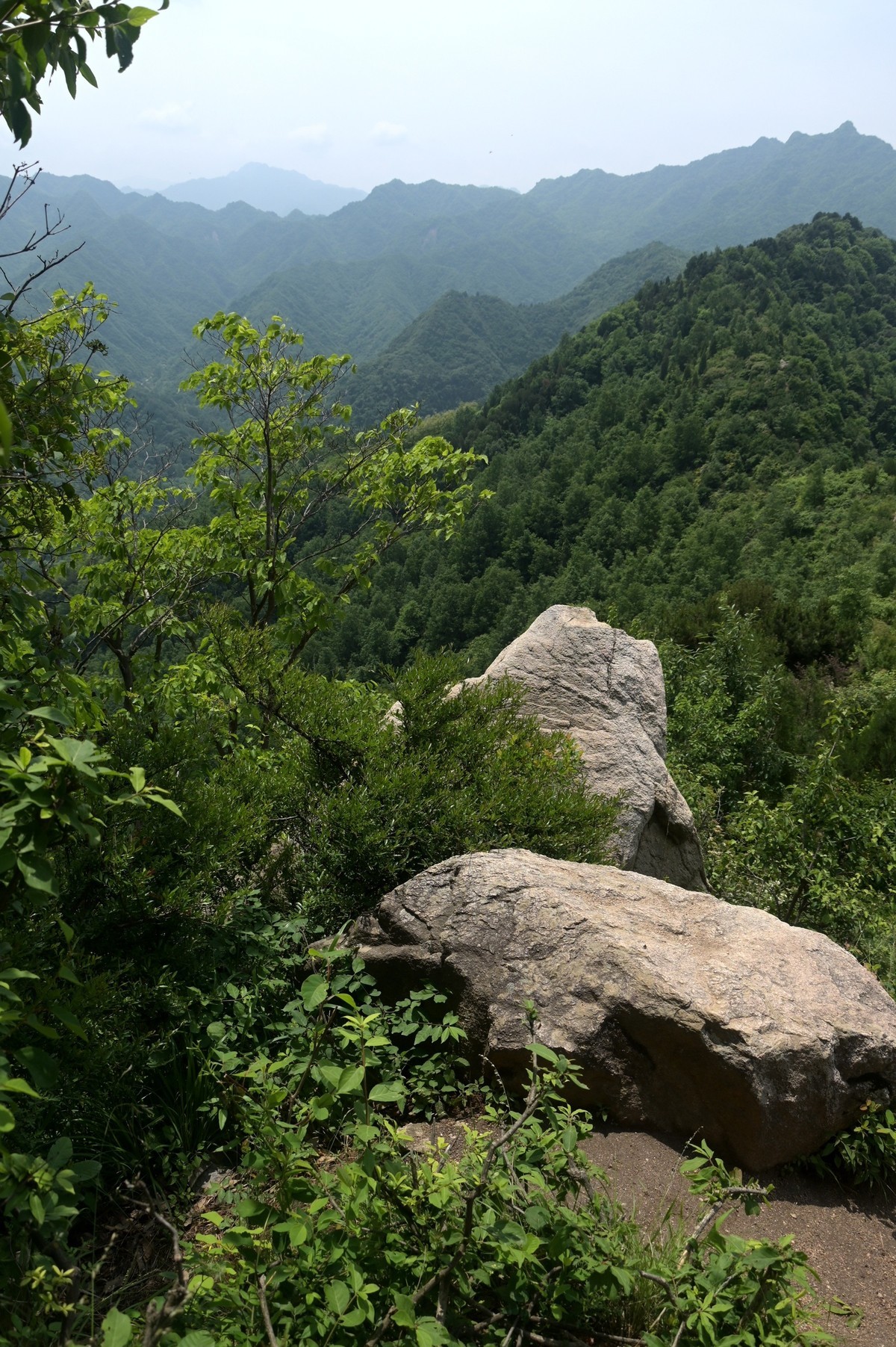 秦岭小五台风光（尼康Z7II微单与单反半画幅镜头相接的出片效果）