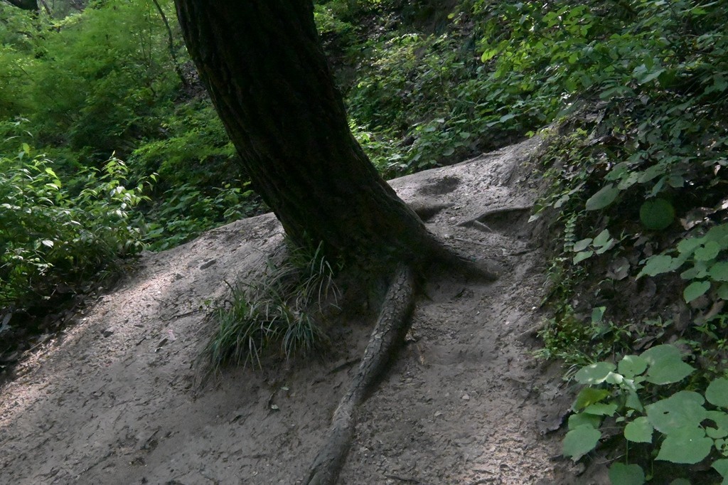 秦岭小五台随拍