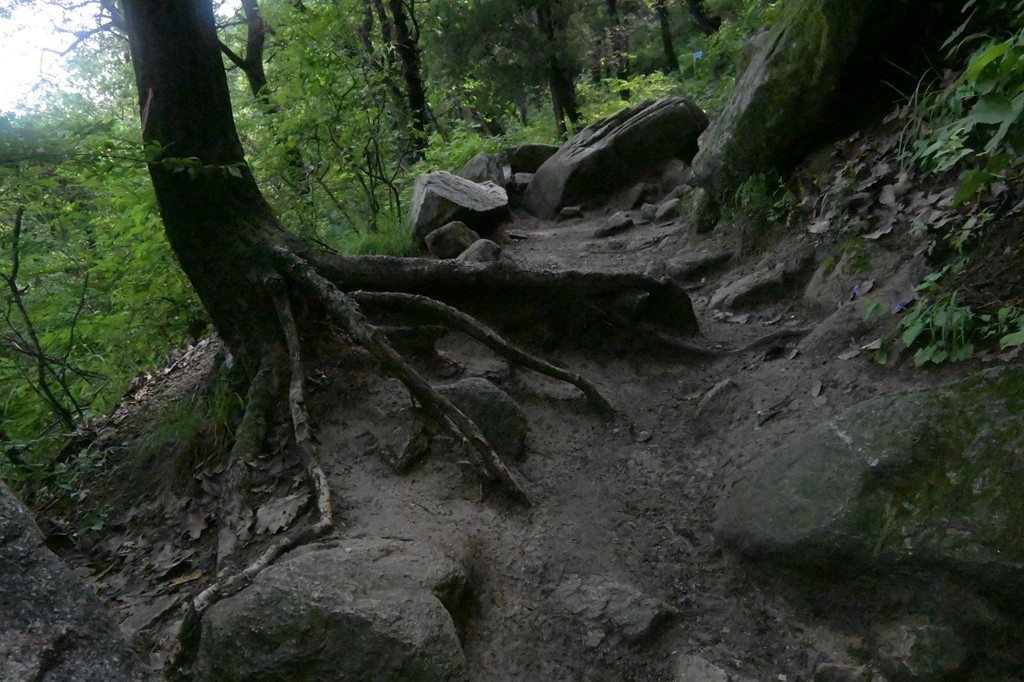 秦岭小五台随拍