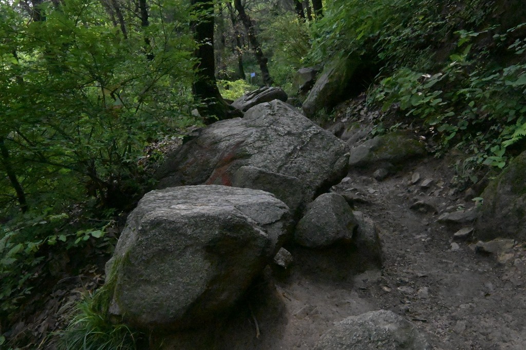 秦岭小五台随拍